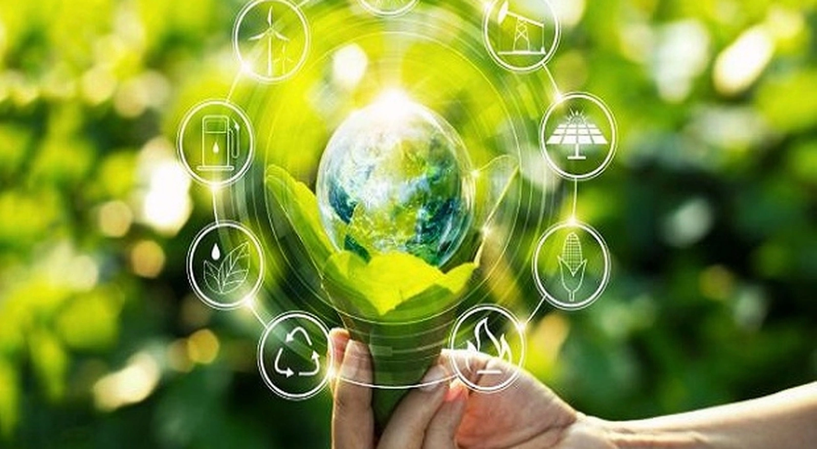 Sustainable entrepreneurship mentoring session